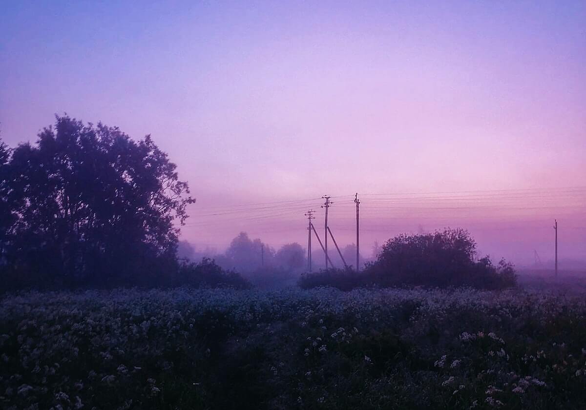 开云体育下载网页版：理性导航，安全体验从官方入口开始